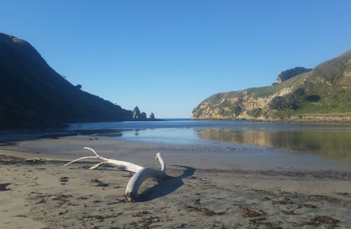 View of the bay at Cooks Cove Walkway.