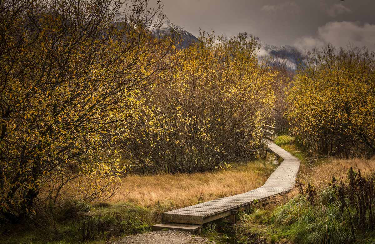 Boardwalk on the Glenorchy Walkway.