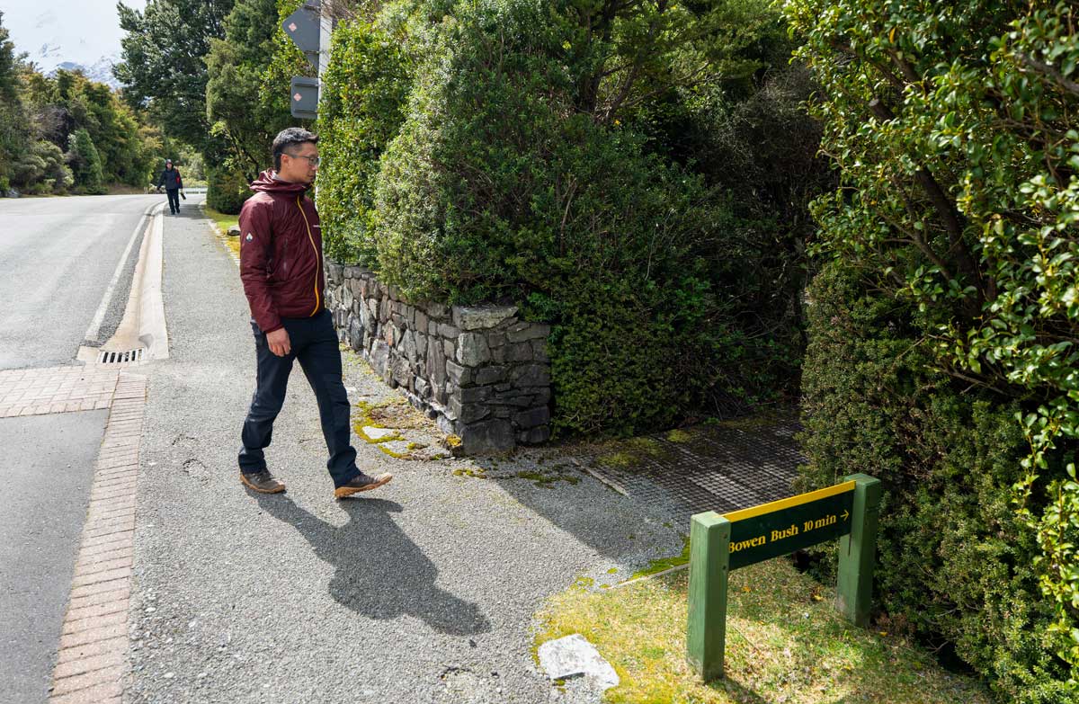 Walker entering Bowen Bush Walk from Aoraki Mt Cook town.