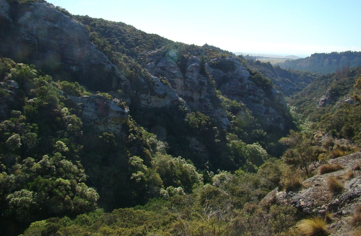 View from Trotters Gorge Track.