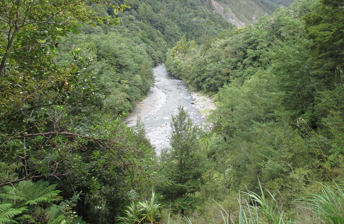Waingawa River, Tararua Forest Park