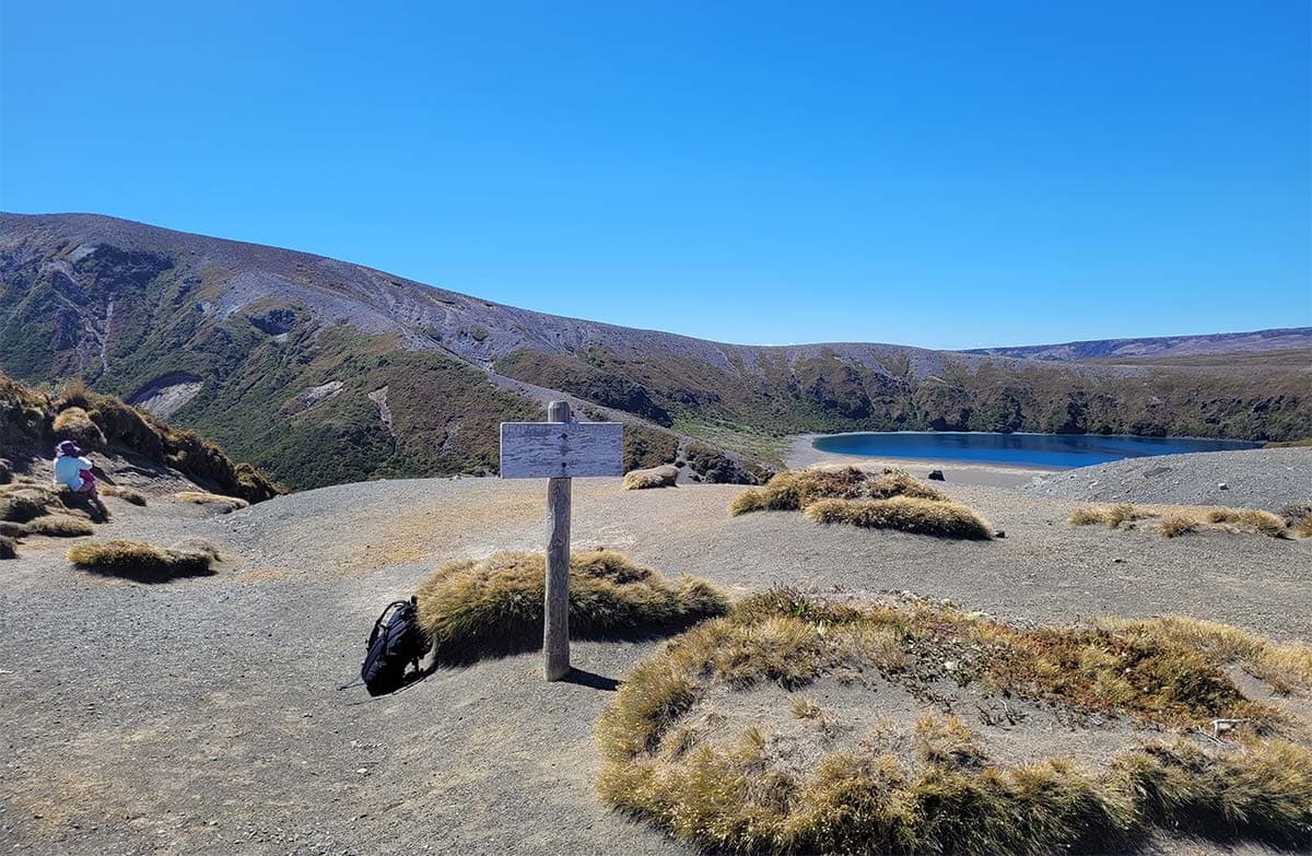 The clearing at the end of Tama Lakes Track