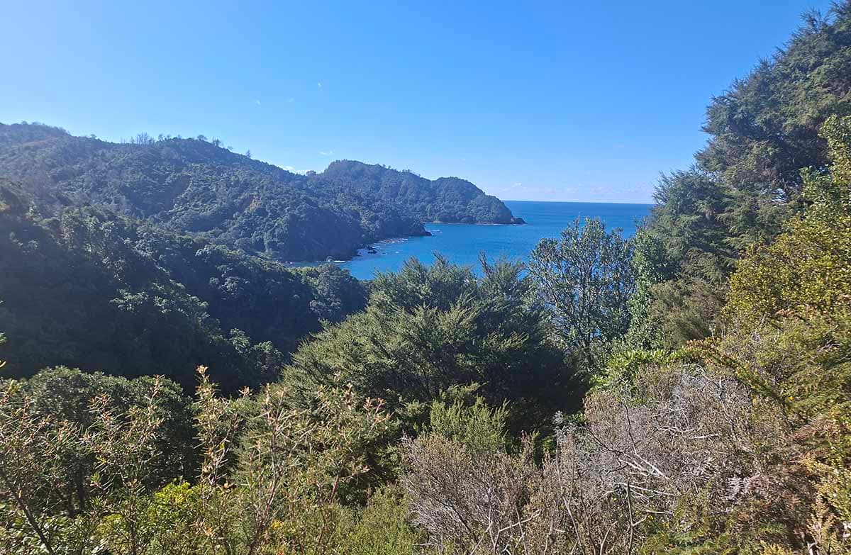 A view across the trees to a bay of blue sea and sky.