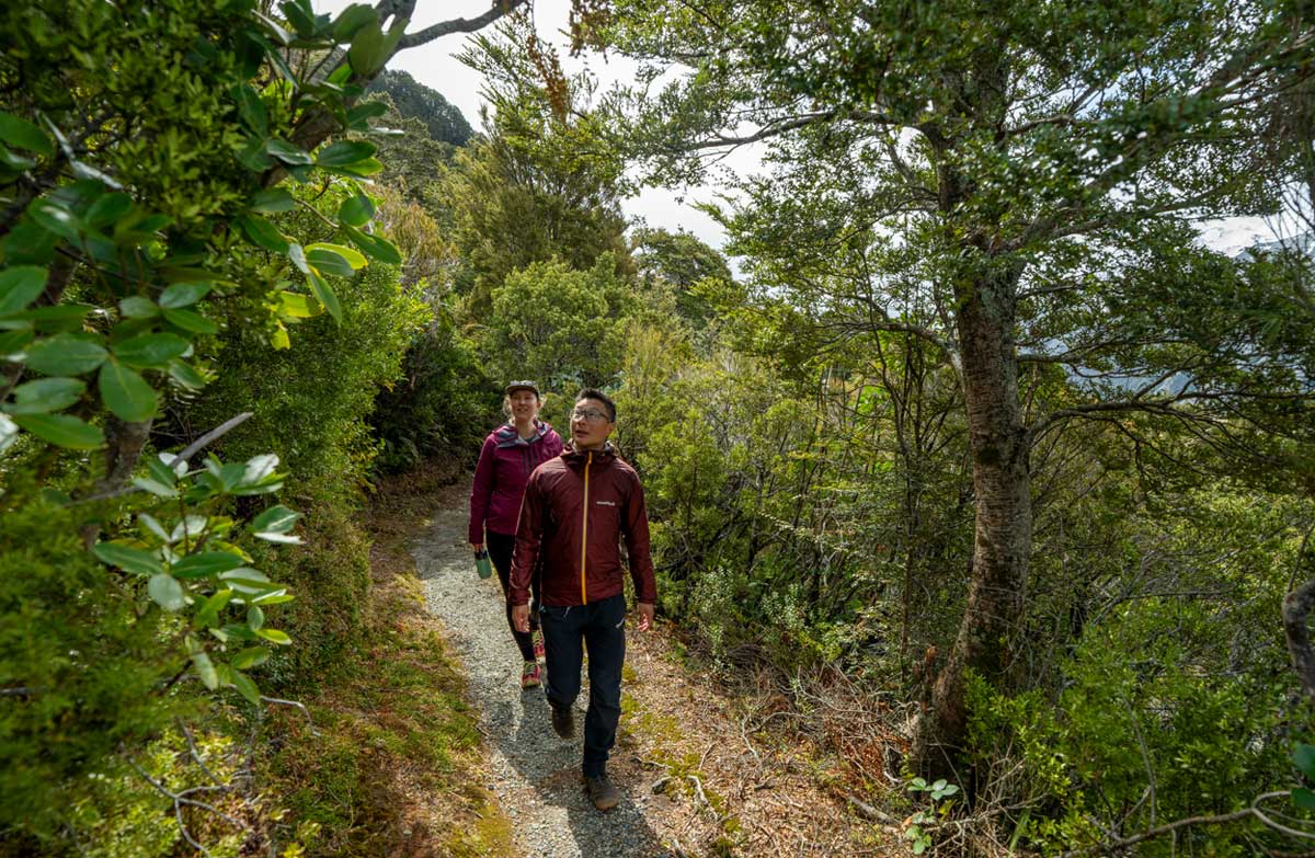 Walkers on a gravel track between trees on Governors Bush Walk.