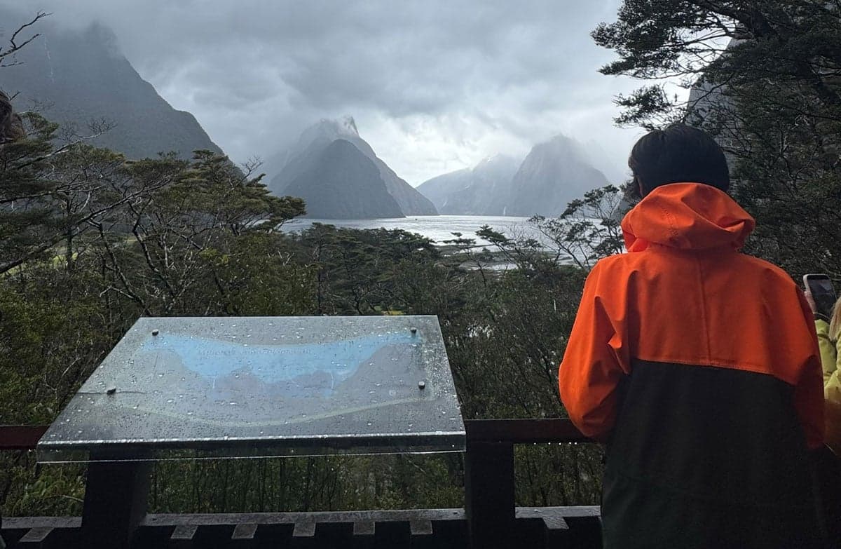 Visitor at the lookout overlooking Milford Sound, with steep mountains, forest and low cloud over the fiord.