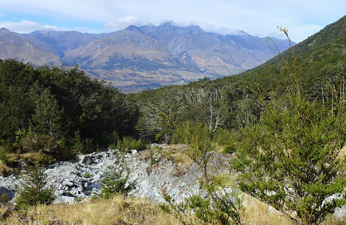Glacier Burn Track.