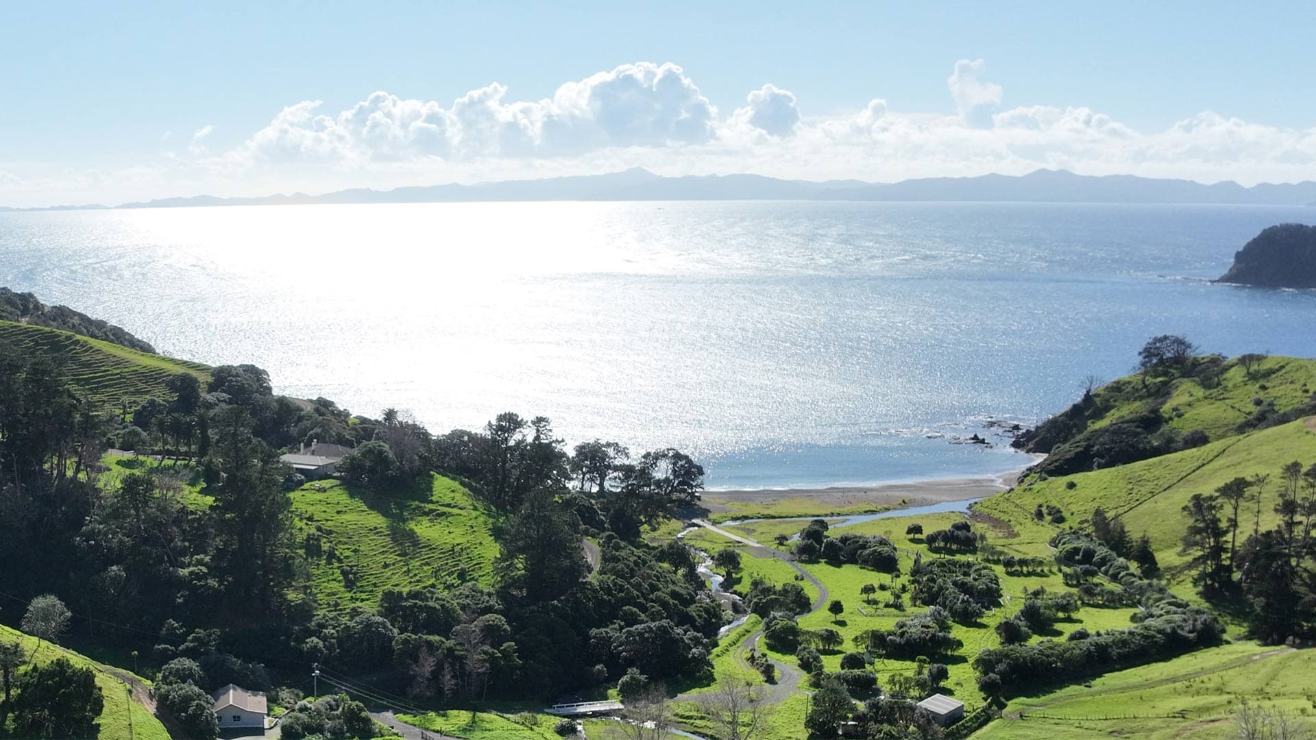Elevated view of Fletcher Bay with grassy camping ground, access tracks and trees beside the beach.