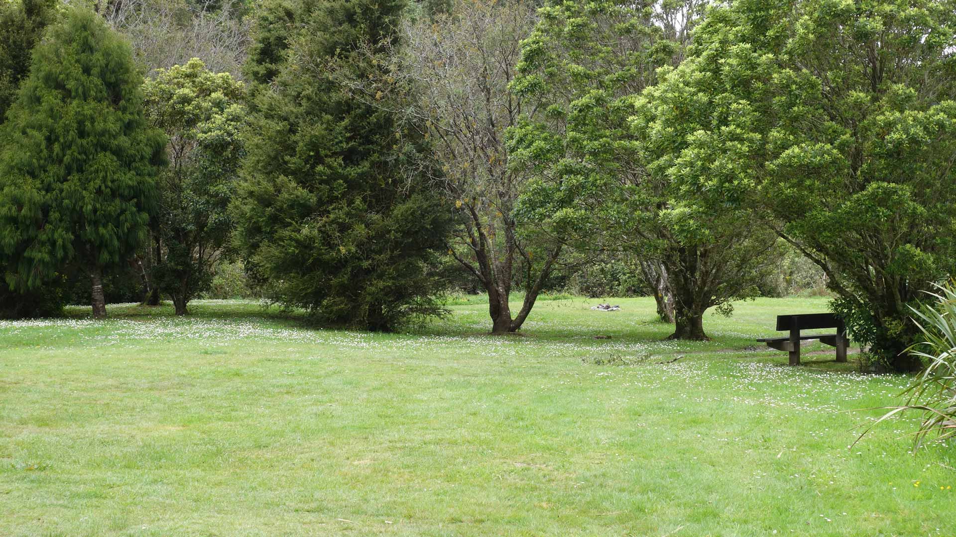 A grassy clearing with trees and a picnic table at Kiriwhakapapa Campsite.