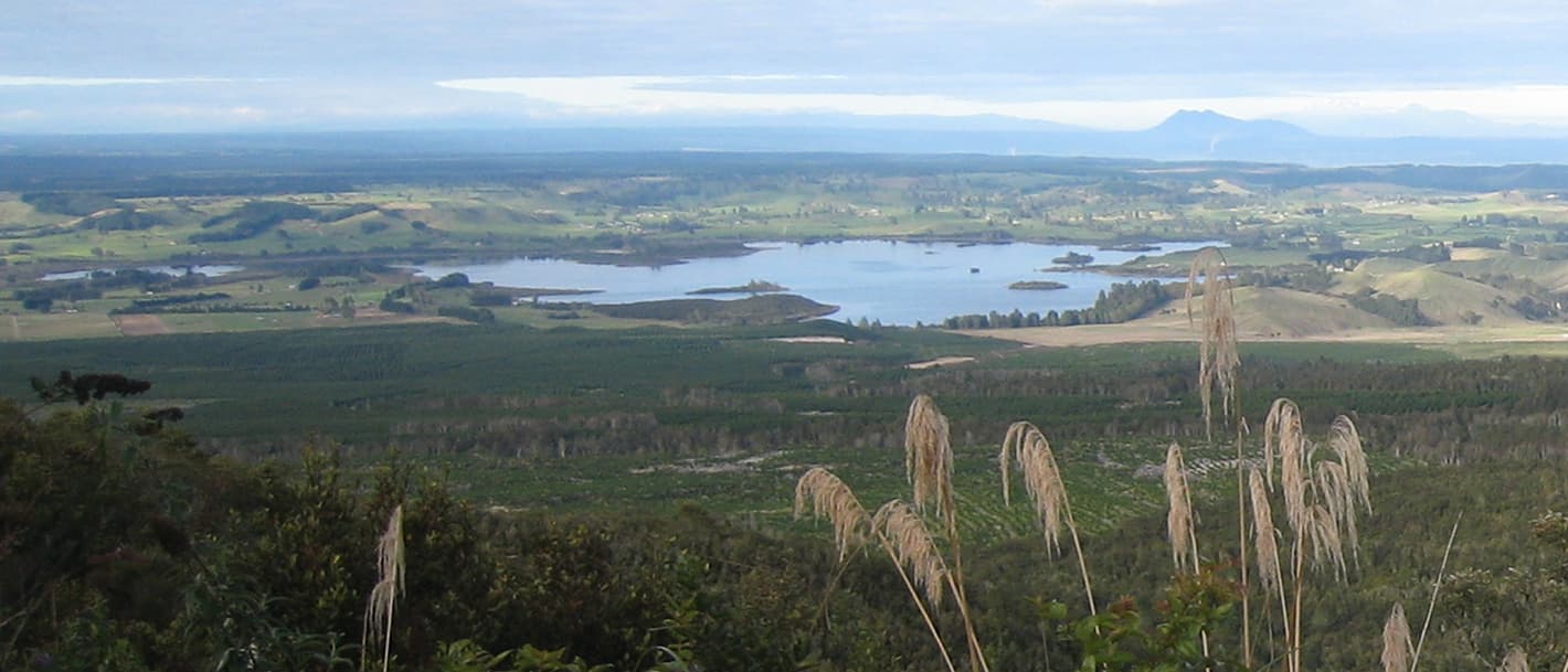 Lake Rerewhakaaitu and surrounding farmland viewed from the slopes of Mount Tarawera.