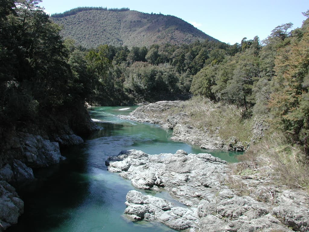 Clear water winding between pale rocks and forested river banks, seen from Pelorus Bridge.
