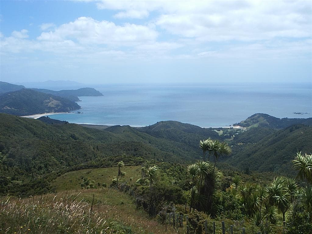 View over bush-covered hills towards Waikawau Bay on the Coromandel Peninsula.