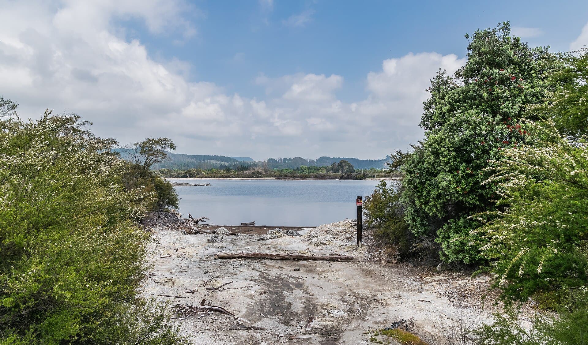Pale geothermal shoreline and shrubs beside Lake Rotorua at Sulphur Point.