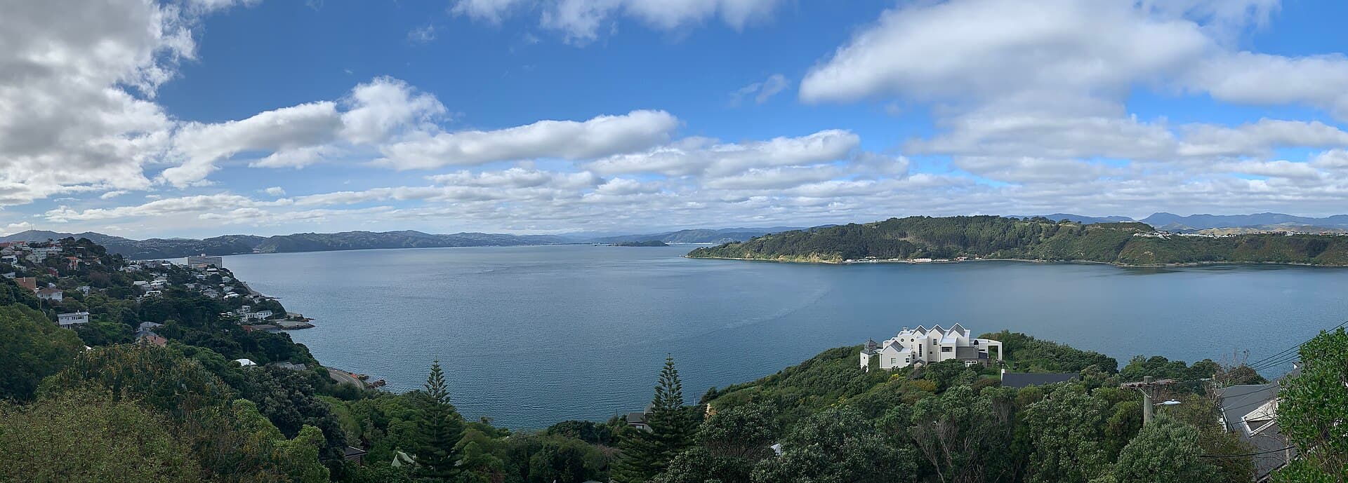 Wellington Harbour seen from Roseneath, with hillside homes and the opposite peninsula.