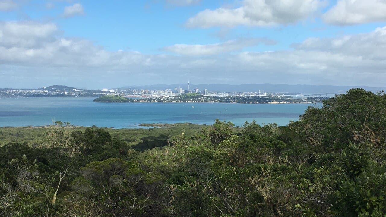 Auckland's skyline across the harbour beyond the forest on Rangitoto Island.