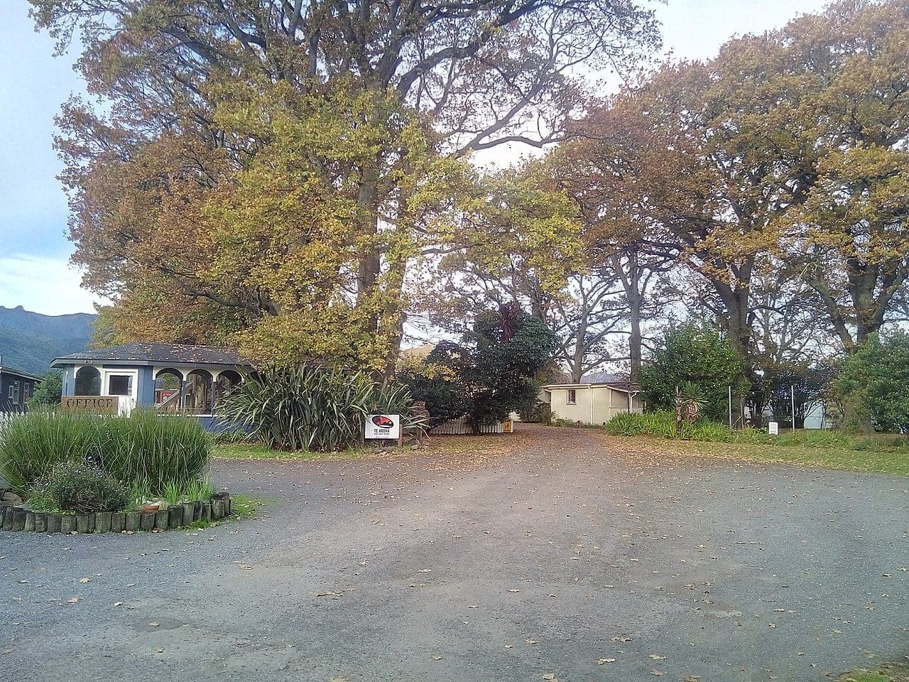Te Aroha Holiday Park entrance, office and small buildings among mature trees, with the park sign beside the driveway.