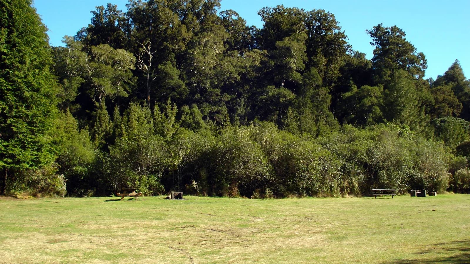 Open grass with picnic tables along a dense forest edge at Kakaho Campsite.