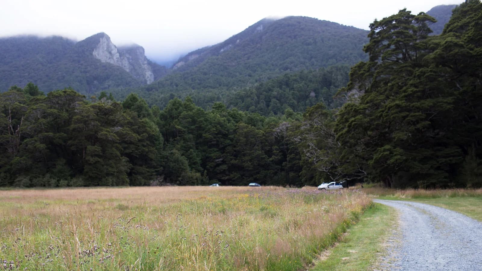 Gravel track curving through grass towards parked cars below forested mountains at Kiosk Creek Campsite.