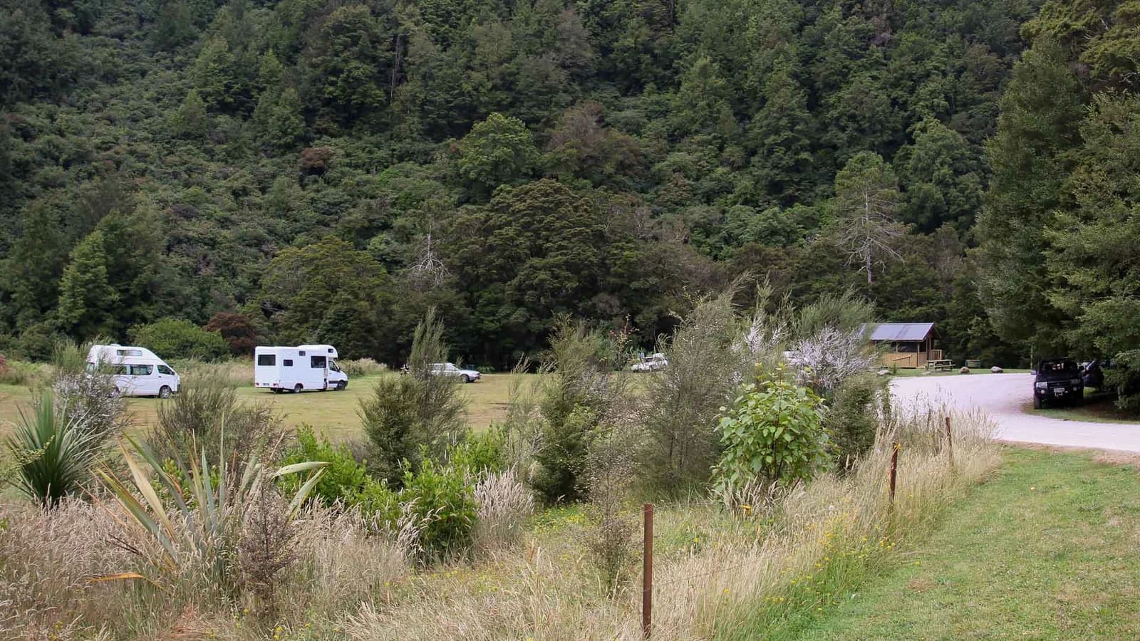 Campervans on grass, a gravel access road and a shelter below a forested hillside at Lyell Campsite.