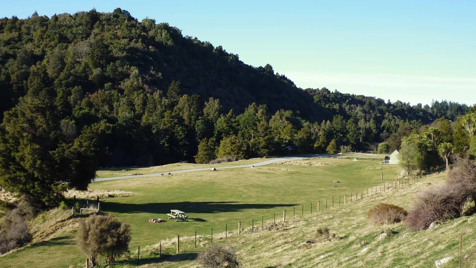 Broad grassy camping ground with picnic tables, a gravel track and surrounding wooded hills at Waihi Gorge Campsite.
