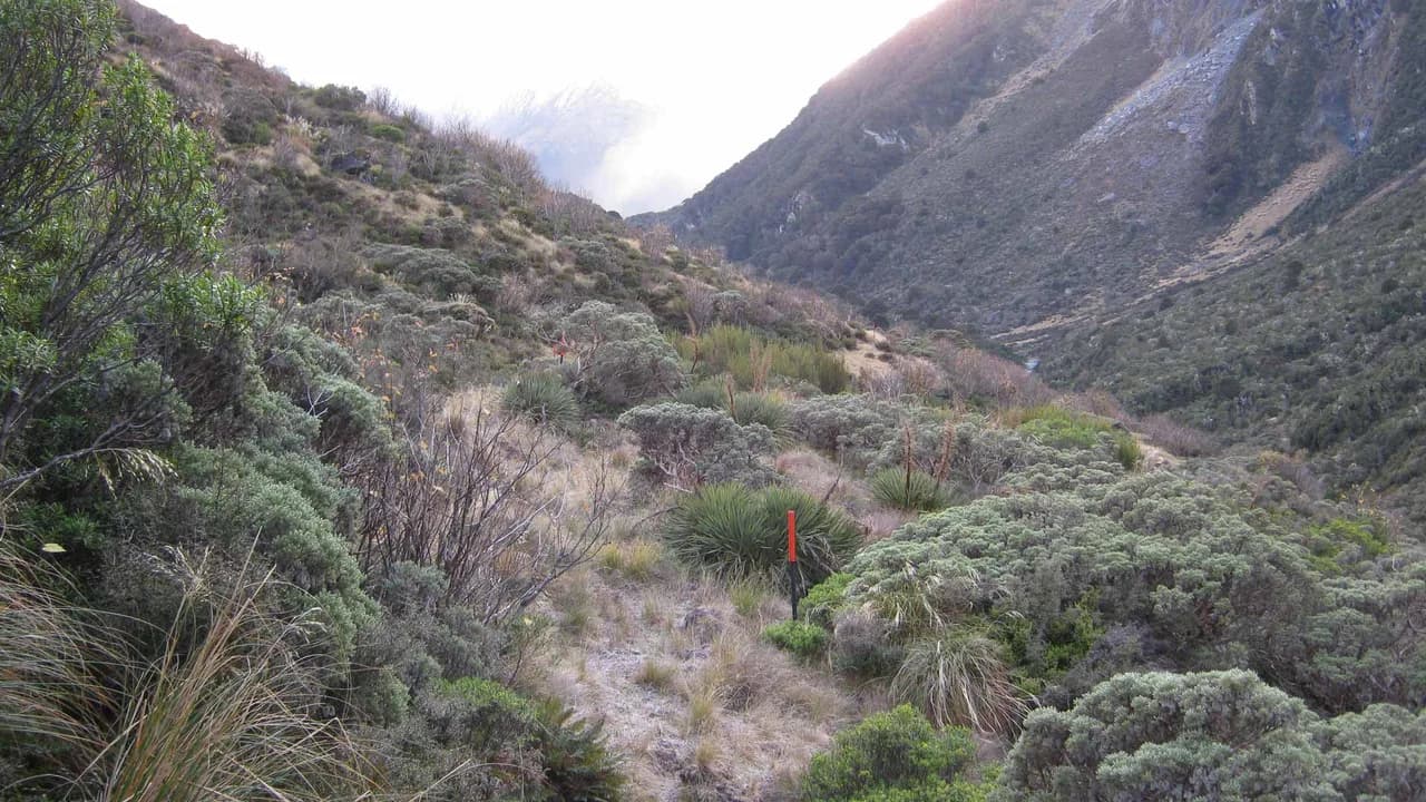 Albert Burn Hut Track: Track through a mountain valley with low scrub.