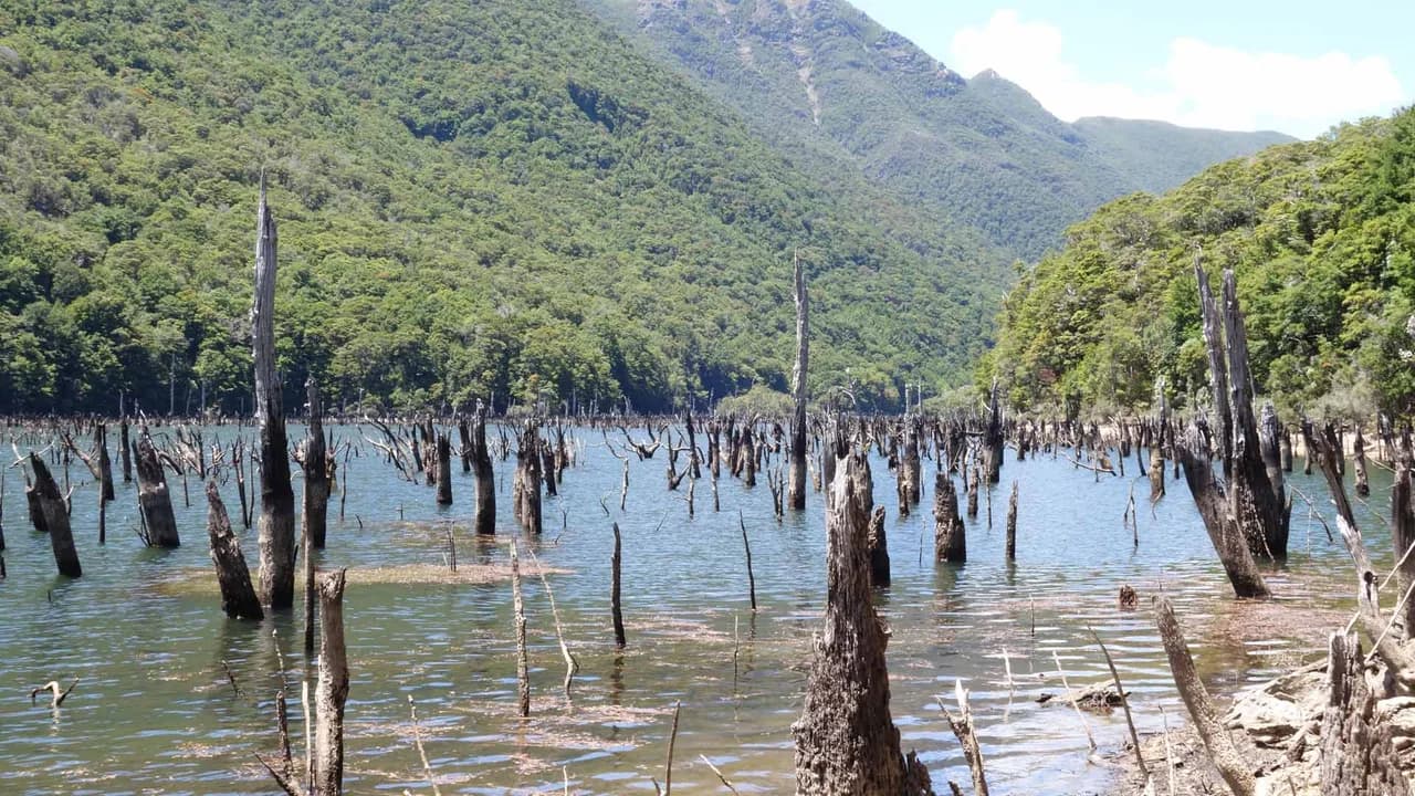 Lake Stanley: Lake Stanley with drowned trees, route-area context.