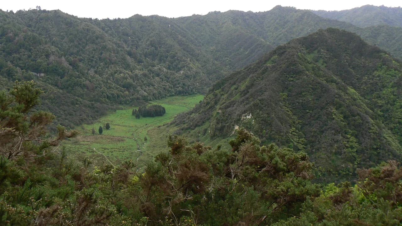 Puketapu Hill and the old course of the Whanganui River: Puketapu Hill and former river course, broader landscape context.