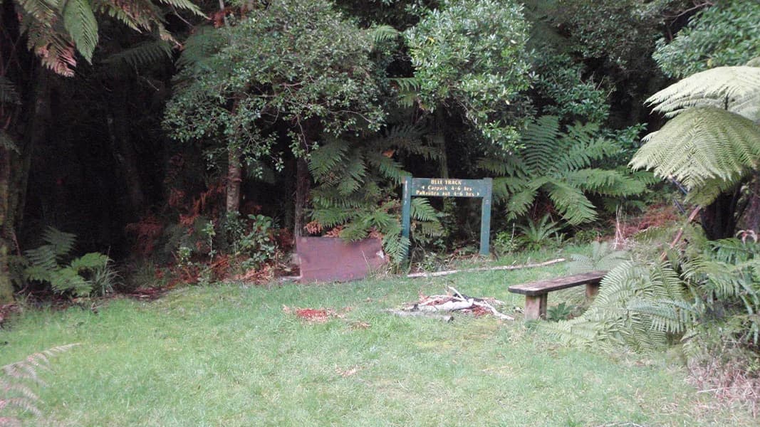 Bell Track: Signed forest entrance with a bench.
