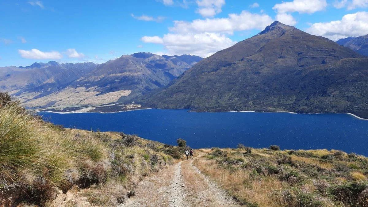 Views on Boundary Creek Track looking back towards Lake Wanaka: Track descending toward Lake Wanaka.