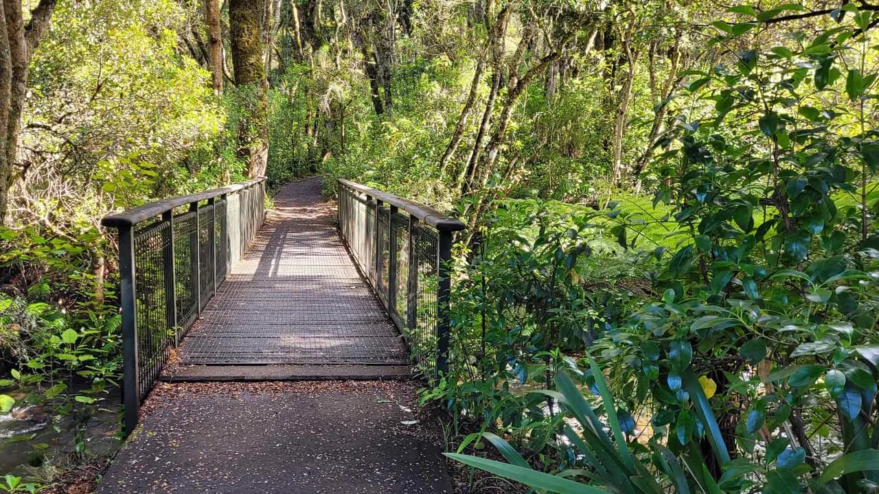 Mangawhero River foot bridge: Footbridge over Mangawhero River.