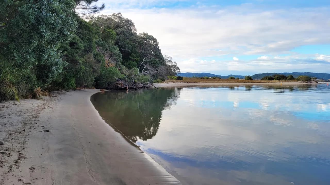 The beach on the Opera Point Walk: Sheltered beach on Opera Point Walk.