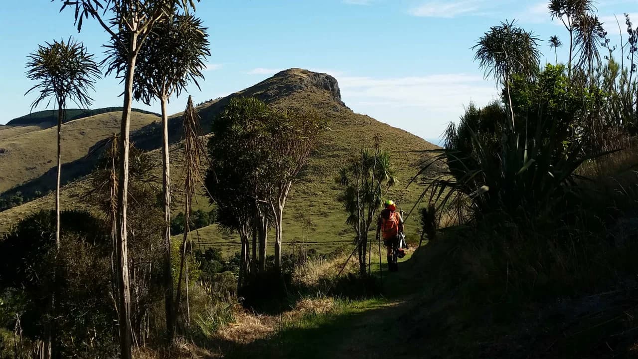Packhorse hut to Mt Herbert summit track: Walkers on the track toward Mount Herbert.