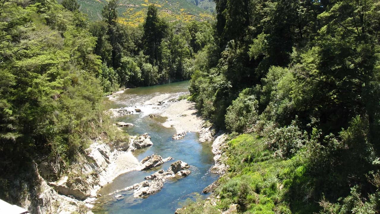 Pelorus Track: River gorge along Pelorus Track.