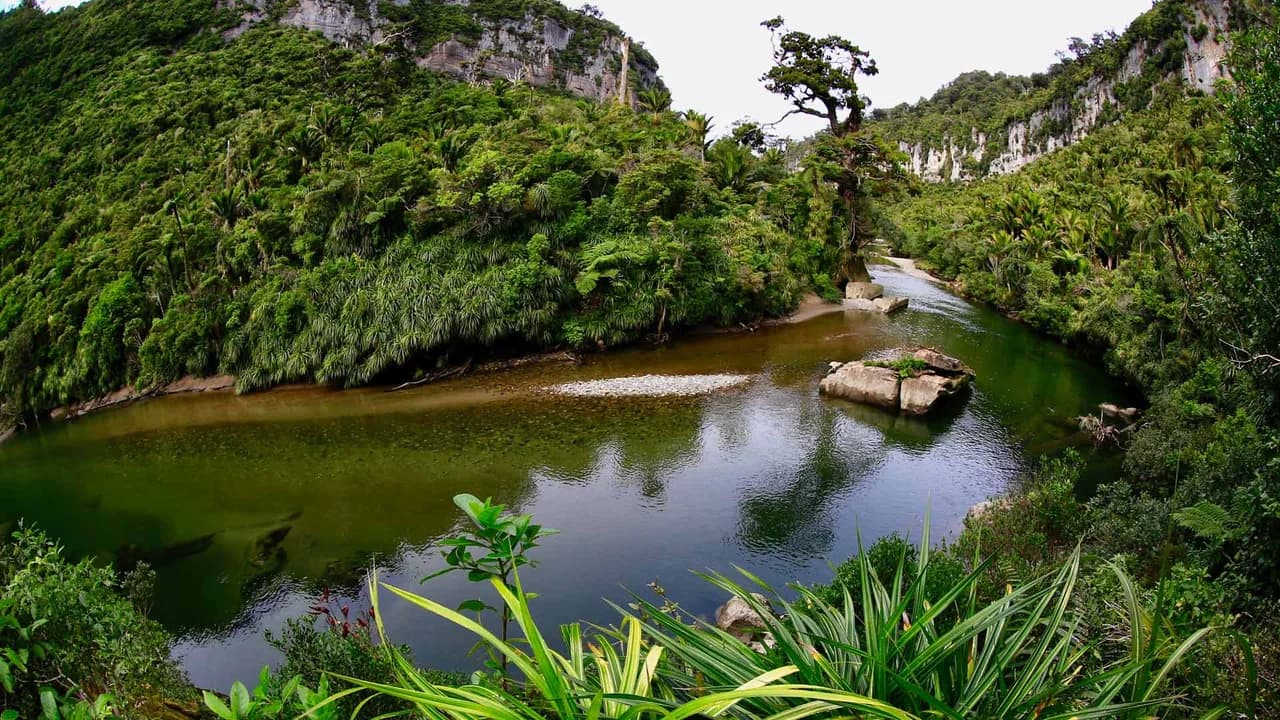 Pororari River.: Pororari River beneath limestone cliffs.