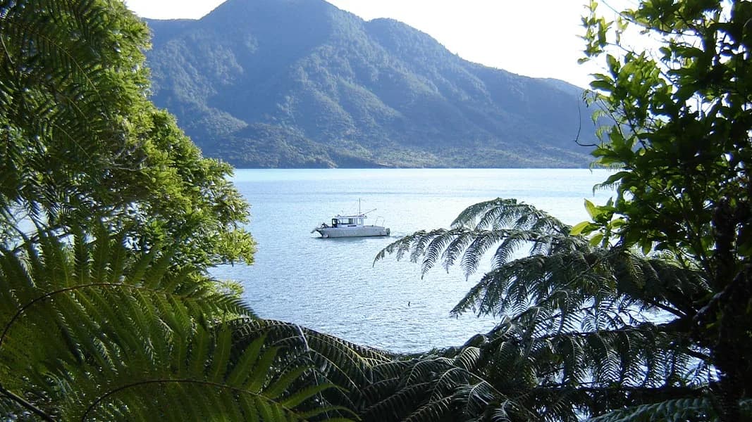 Putanui viewpoint: Bay viewed from Putanui viewpoint.