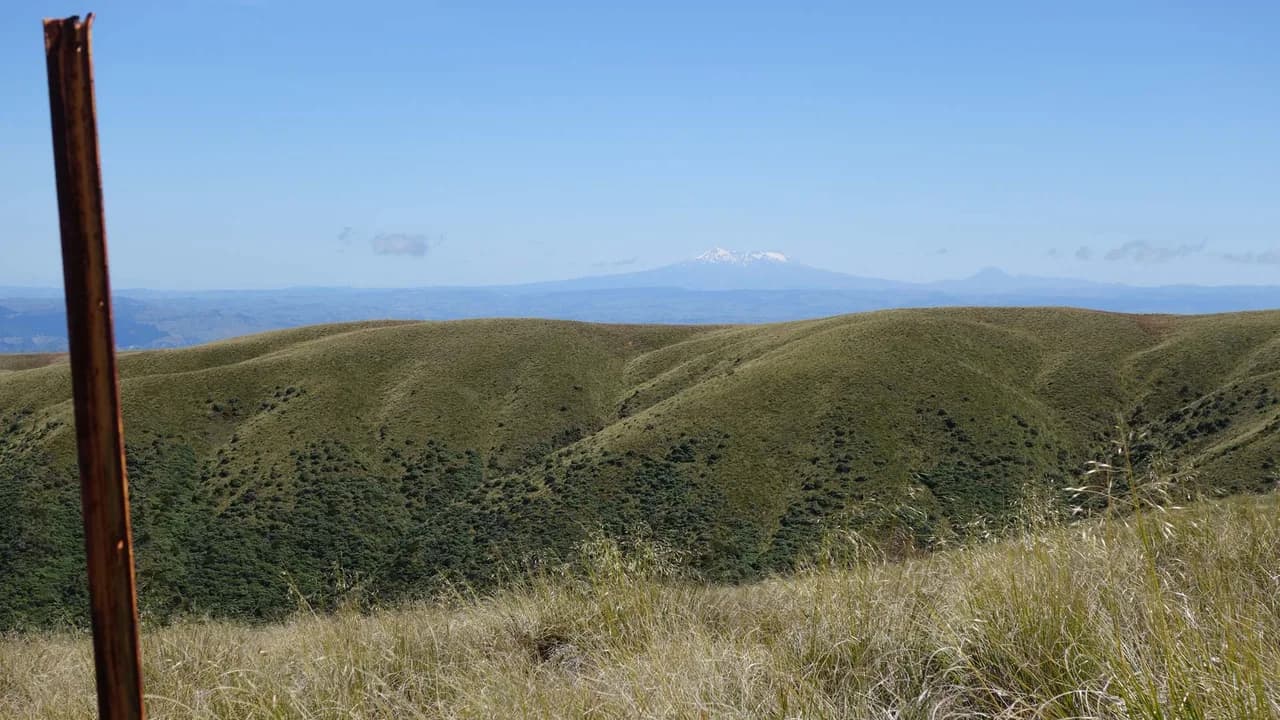 Mount Ruapehu and Mount Ngauruhoe from Deadmans Track: Ridge marker and distant peaks from Deadmans Track.