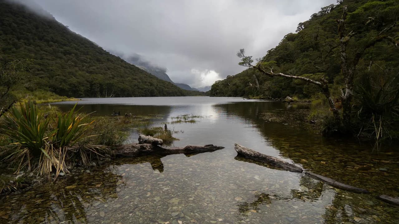 Lake Howden Track Routeburn: Lake Howden at the named track destination.