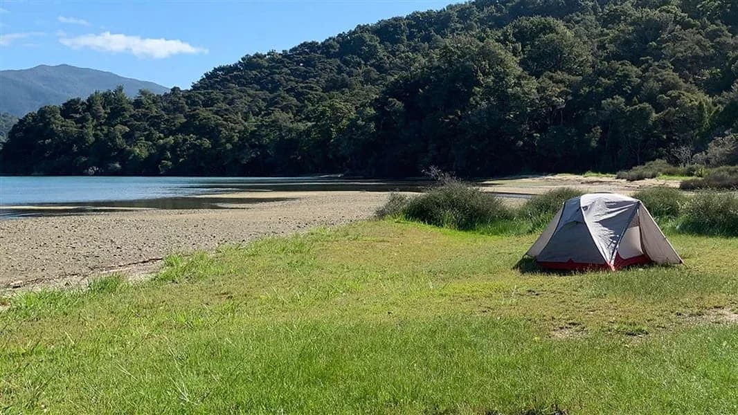 A pitched tent on the grassy waterfront camping area at Davies Bay, with forested hills beyond.