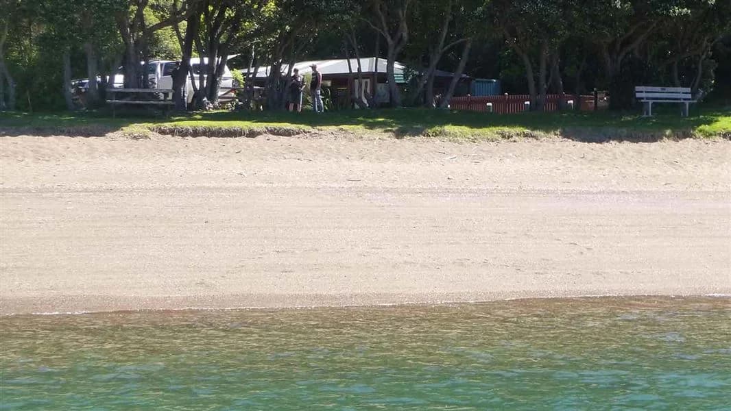 Tents and camping vehicles among trees behind the beach at French Pass Campsite, seen from the sea.
