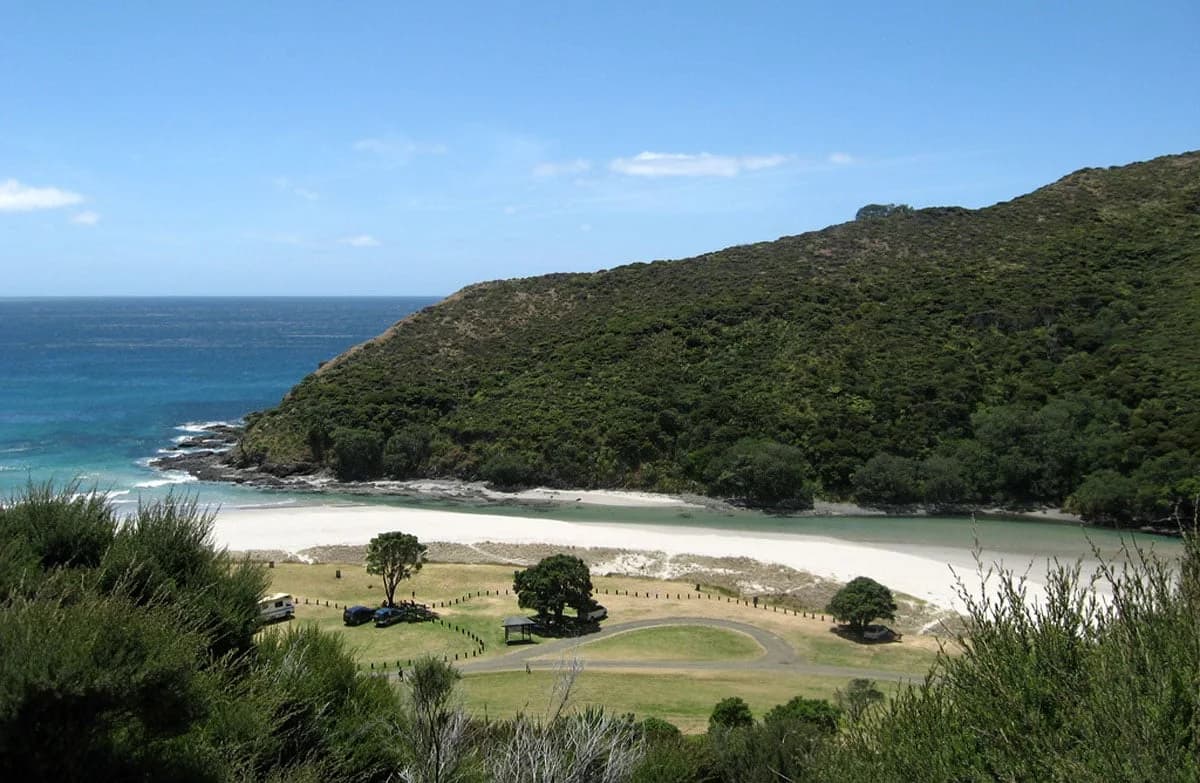 Elevated view of the grassy Tapotupotu Bay campground, access roads, trees and beach.