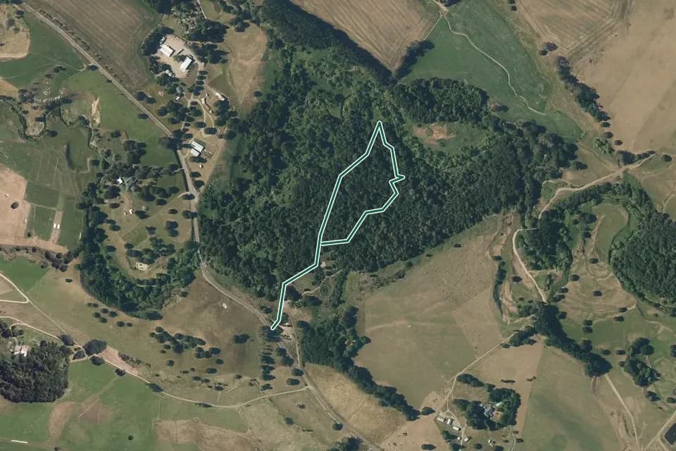 Historical aerial overview of the mapped A’Deanes Bush Walk route, with an indicative DOC route overlay.