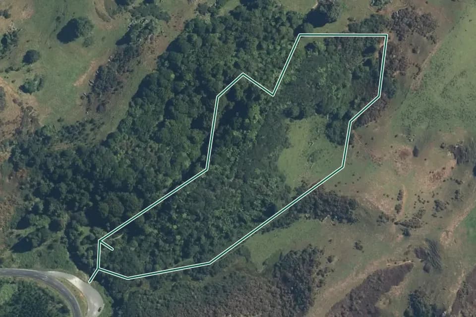 Historical aerial overview of the mapped Mangapohue Natural Bridge Walk route, with an indicative DOC route overlay.