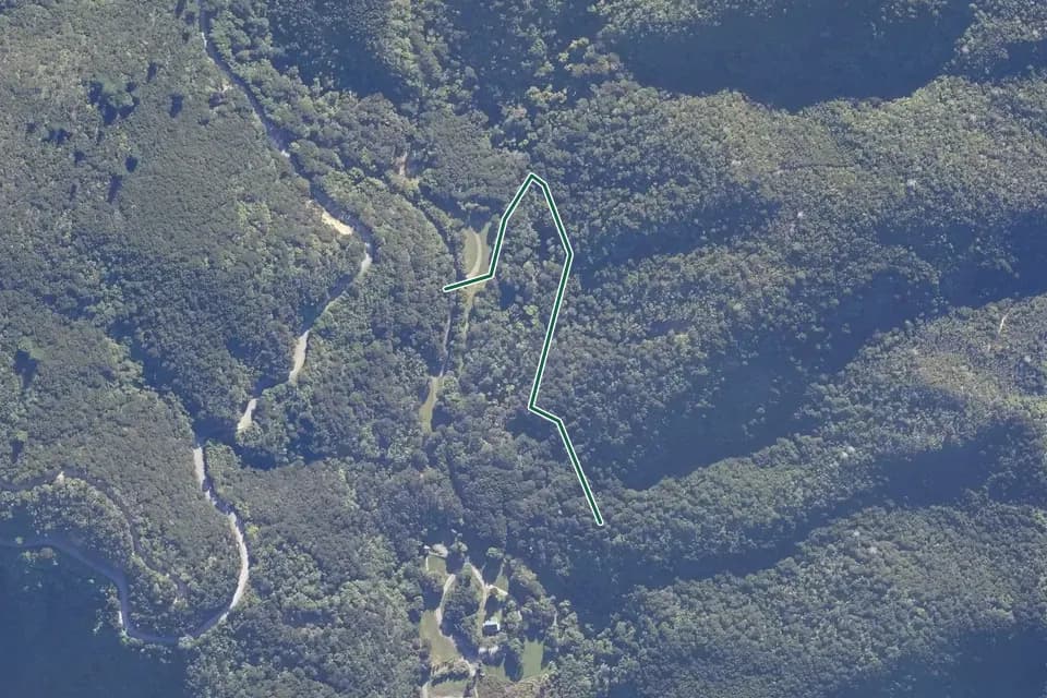 Historical aerial overview of the mapped Pukatea Walk route, with an indicative DOC route overlay.