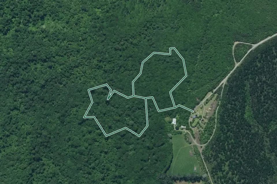 Historical aerial overview of the mapped Puketī Nature Trail route, with an indicative DOC route overlay.