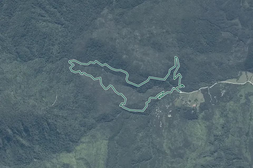 Historical aerial overview of the mapped Pupu Hydro Walkway route, with an indicative DOC route overlay.