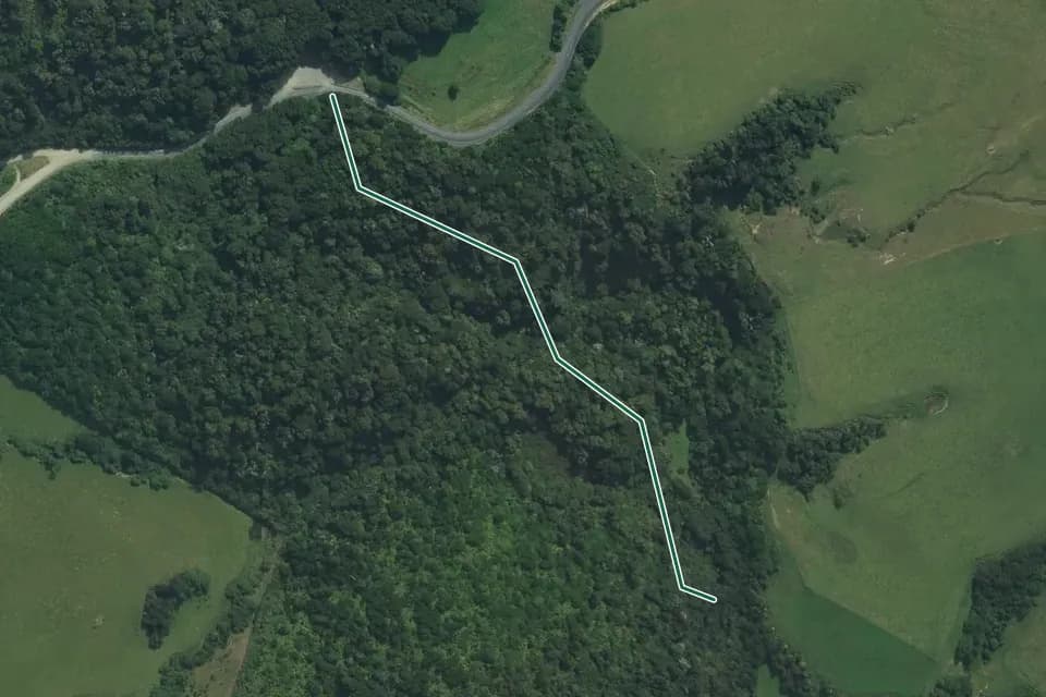 Historical aerial overview of the mapped Purakaunui Falls Walk route, with an indicative DOC route overlay.