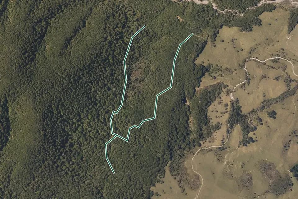 Historical aerial overview of the mapped Swamp Track route, with an indicative DOC route overlay.