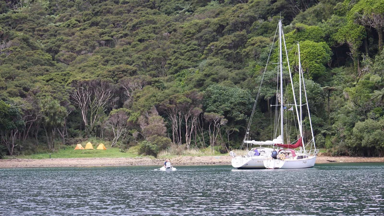 Three tents on the grassy shore at Schoolhouse Bay Campsite, with sailing boats in the foreground.