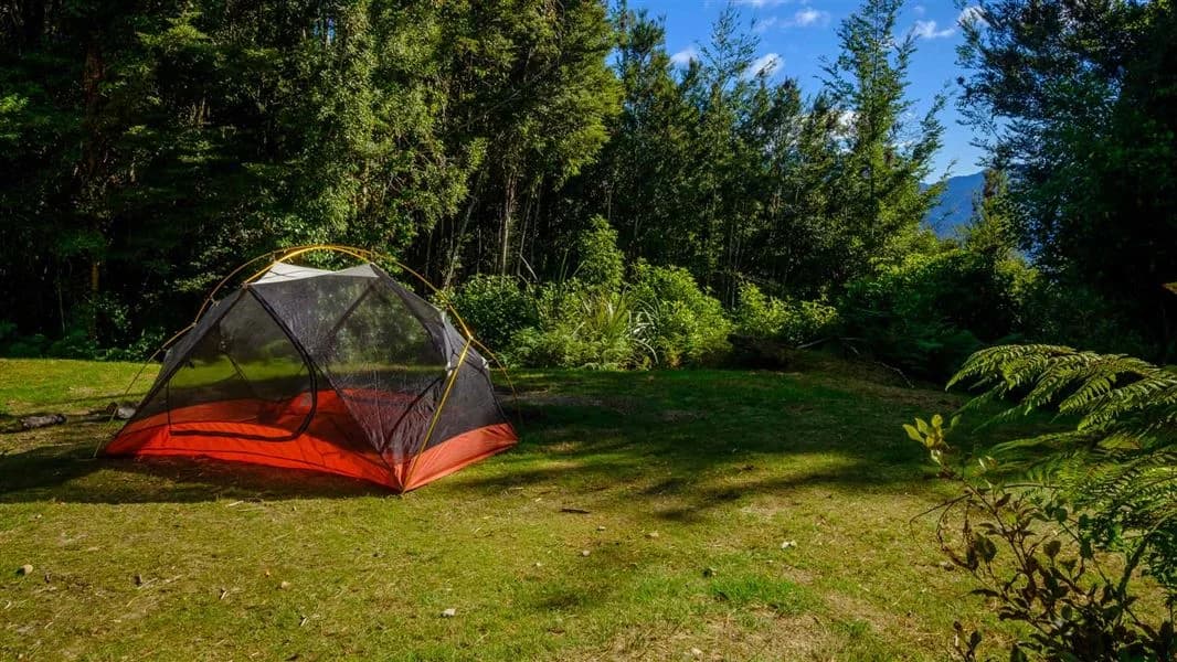 Aorere Shelter campsite.
