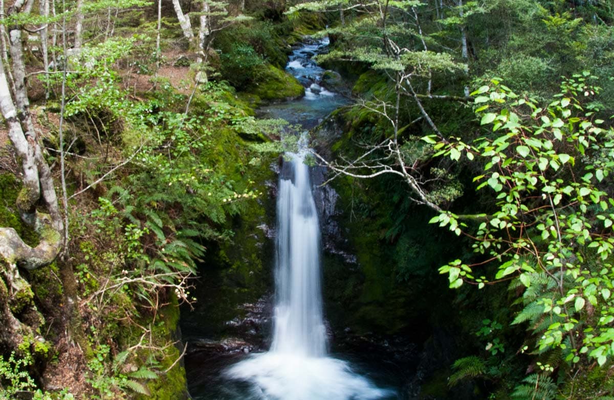 Waterfall on Mt Crichton Loop Track.