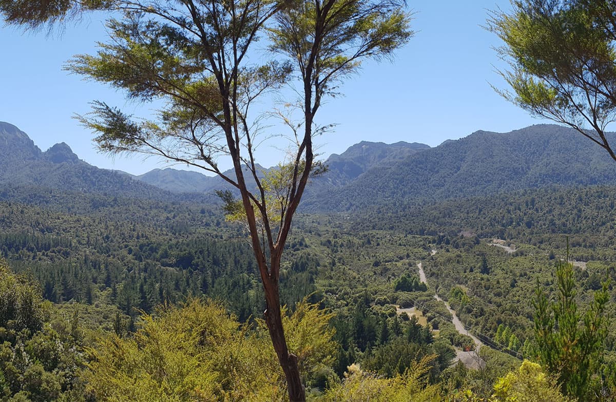 View from Edward's Lookout trail.